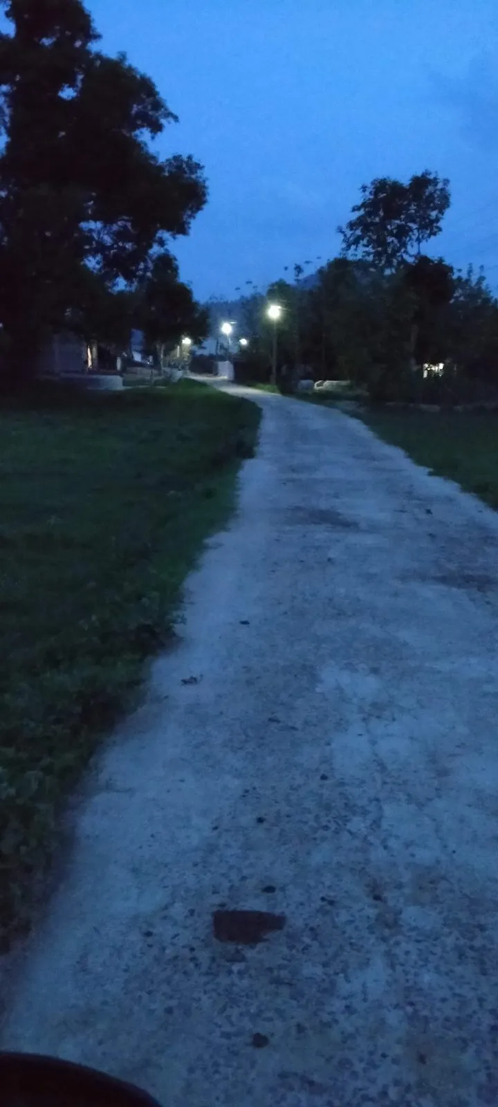 A village road lined with street lamps at dusk in Kochewada, Balaghat district, Madhya Pradesh
