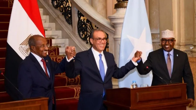 Egyptian President Abdel Fattah el-Sisi, Eritrean President Isaias Afwerki and Somali President Hassan Sheikh Mohamud at a trilateral summit (archive photo)