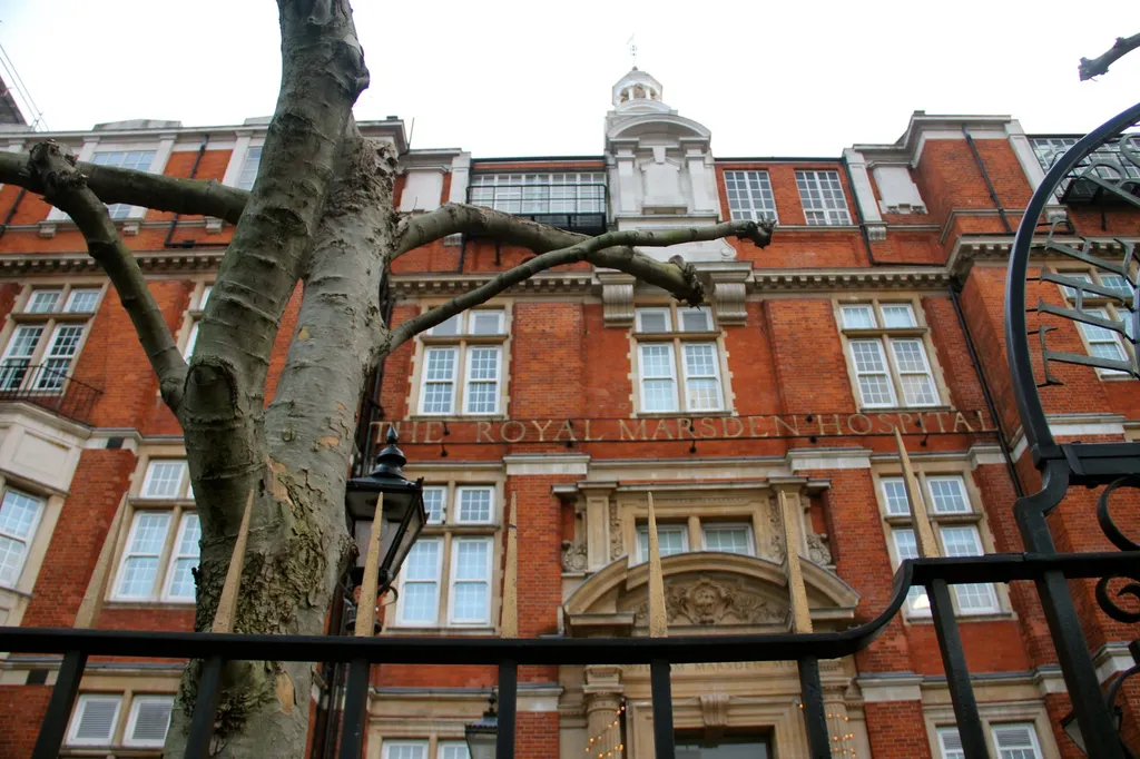 The Royal Marsden Hospital in Chelsea, London — the specialist cancer hospital whose International Centre for Recurrent Head and Neck Cancer co-led the head-and-neck cancer waiting-times study
