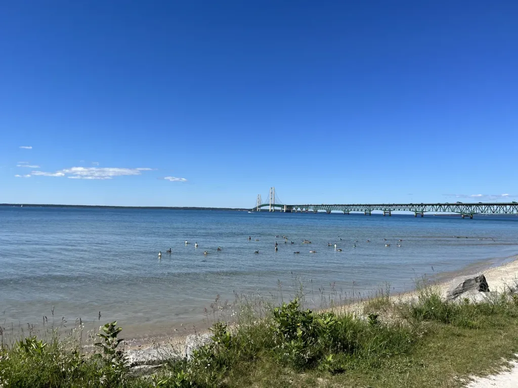 The Mackinac Bridge spanning the Straits of Mackinac in Michigan under a clear blue sky, with geese swimming in the foreground water