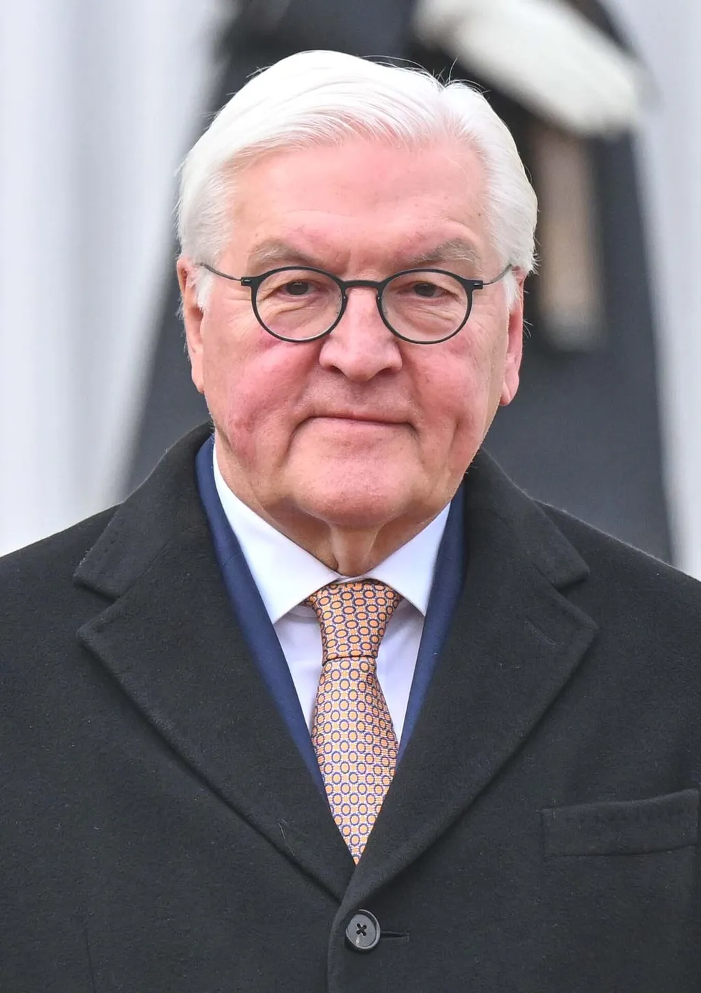 Portrait of German President Frank-Walter Steinmeier