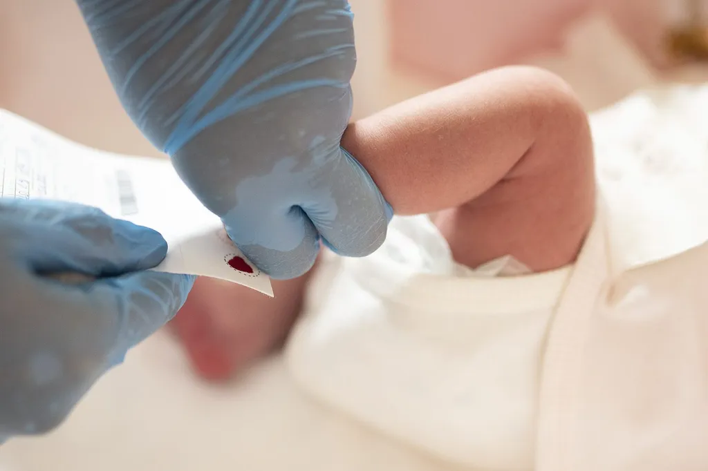 A clinician's gloved hands pressing a newborn baby's heel to collect a drop of blood onto a blood-spot screening card