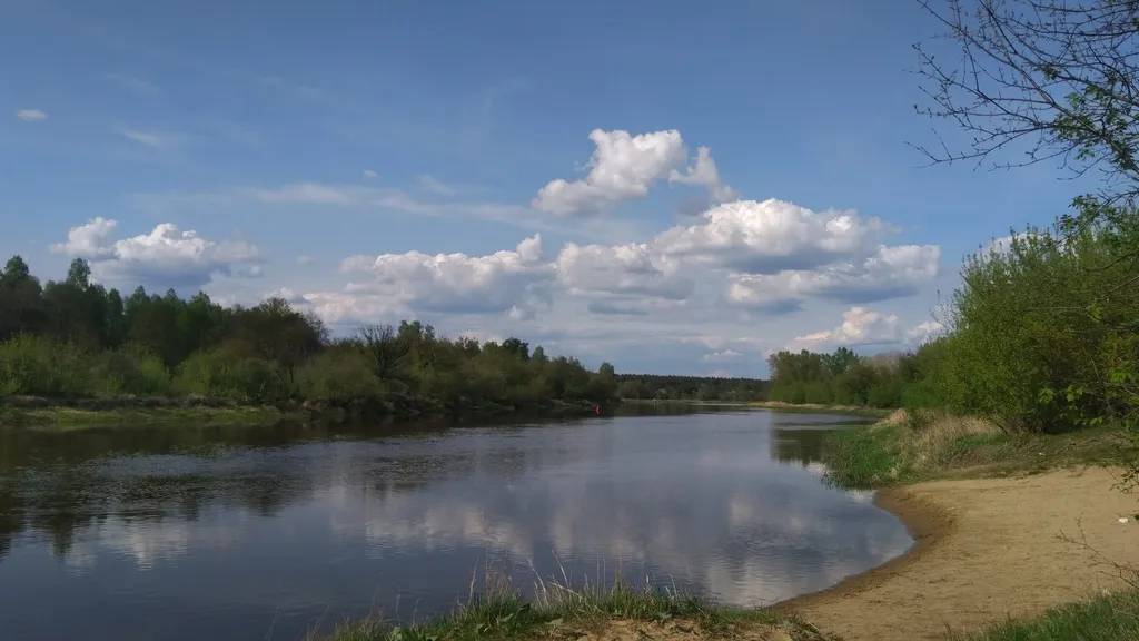 A calm daytime view of the Narew river at Ostroleka, Poland, with a sandy wild beach in the foreground and tree-lined banks.